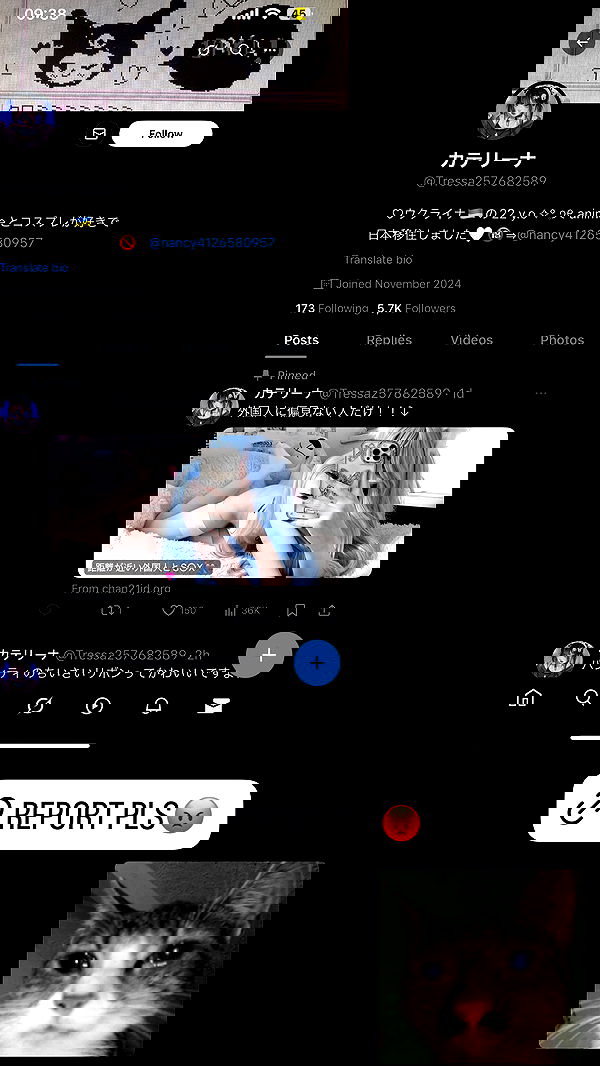 purrrik purrrik archive image