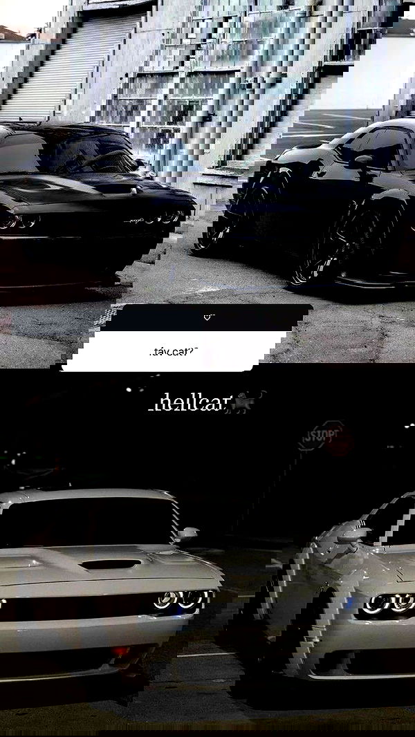 purrrik purrrik archive image