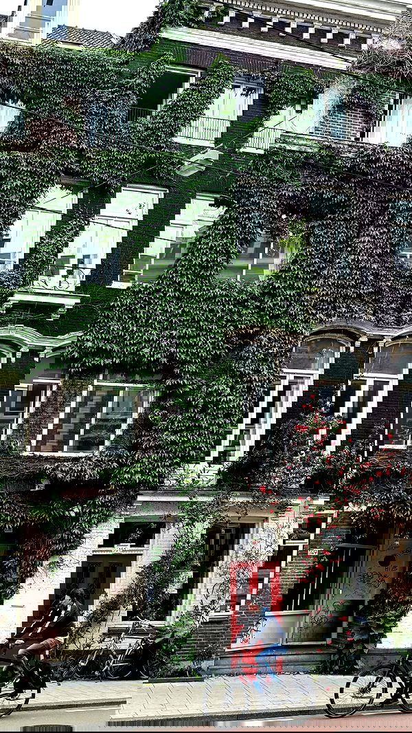 qiyokiuu qiyokiuu archive image