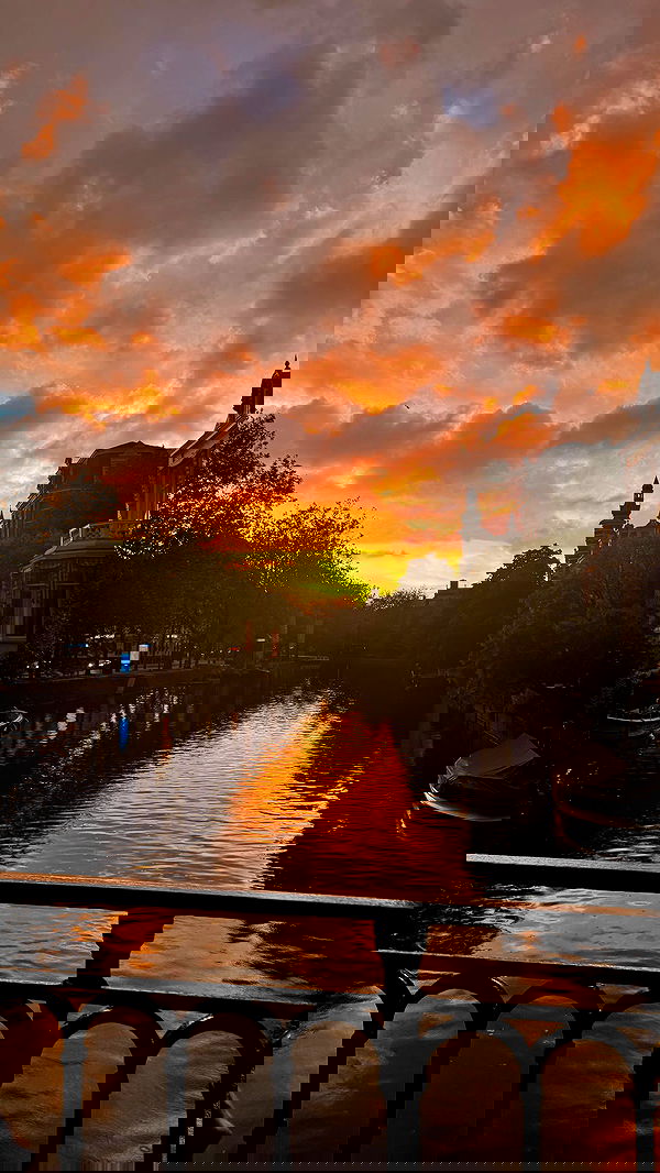 qiyokiuu qiyokiuu archive image