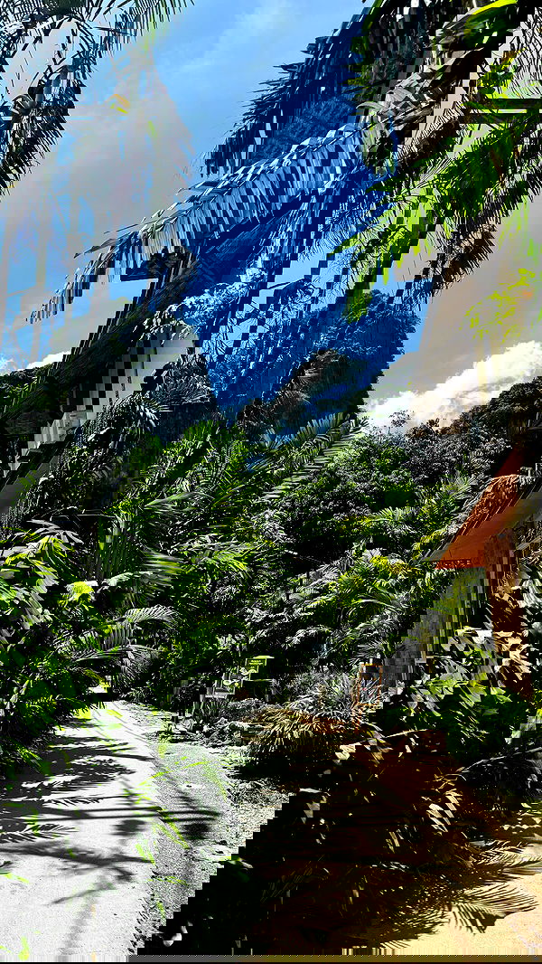 qiyokiuu qiyokiuu archive image