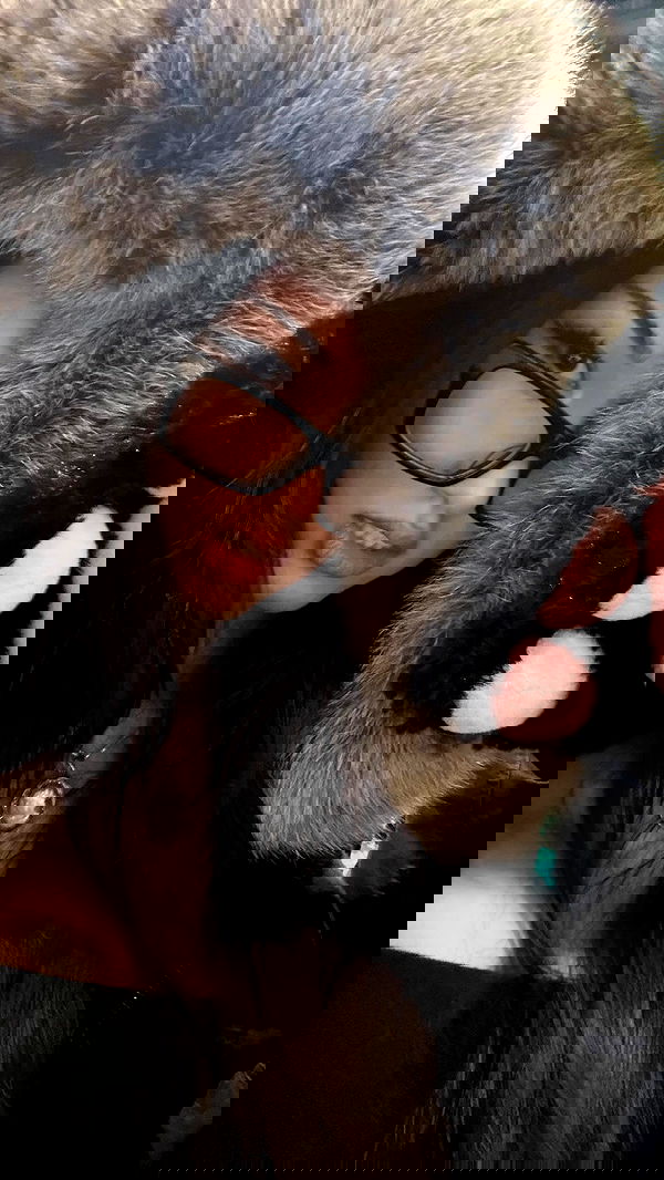 qiyokiuu qiyokiuu archive image