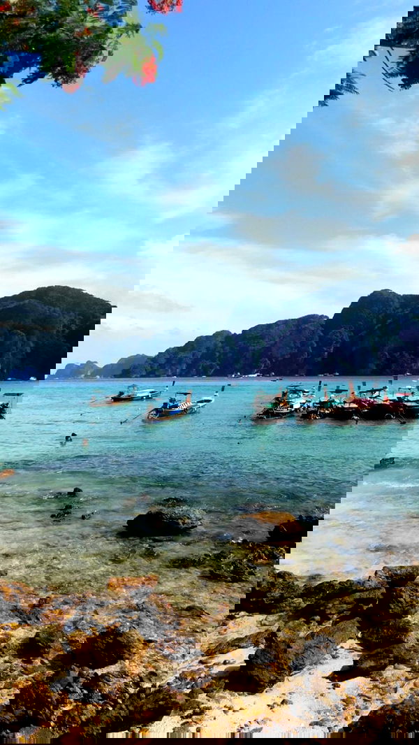 qiyokiuu qiyokiuu archive image