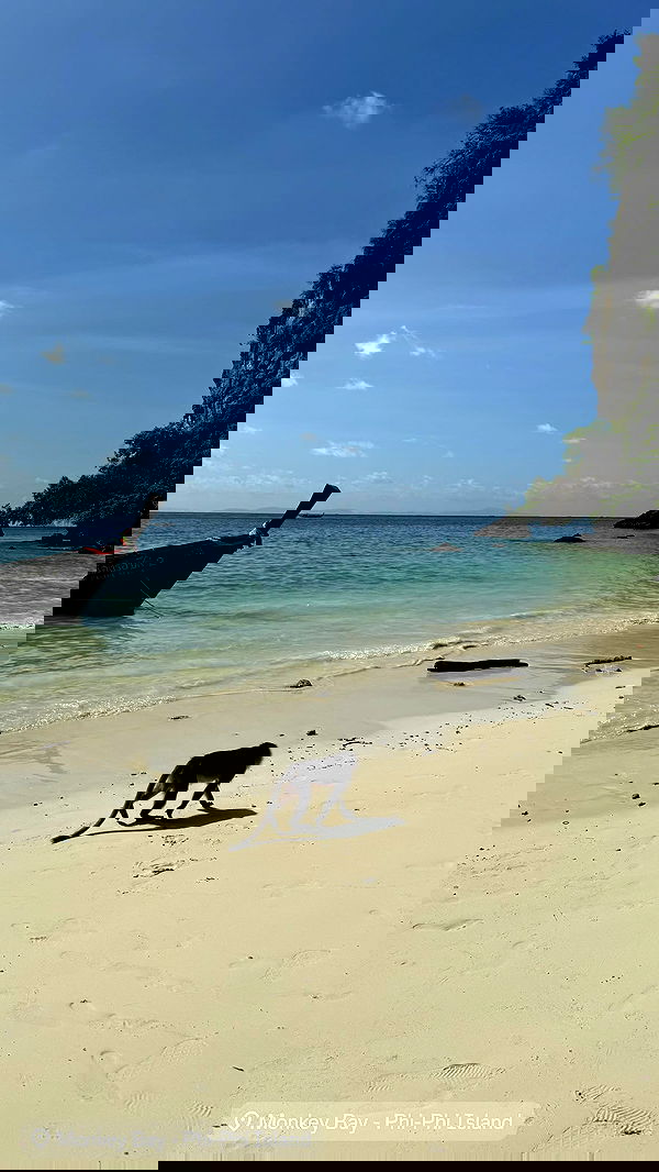 qiyokiuu qiyokiuu archive image