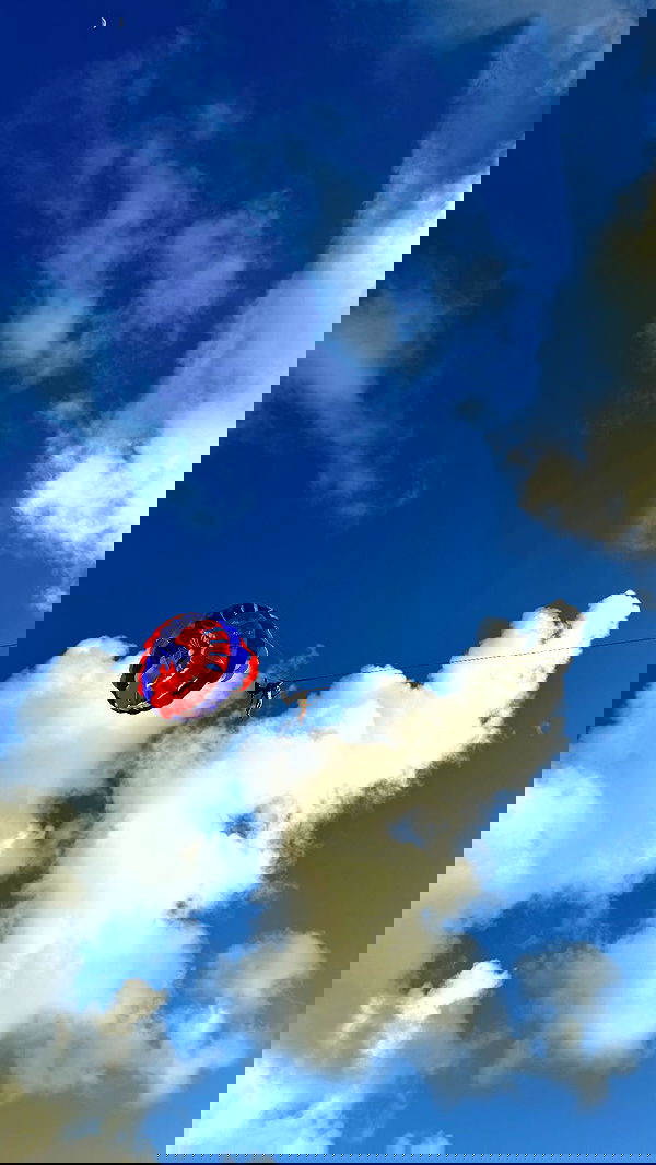 qiyokiuu qiyokiuu archive image