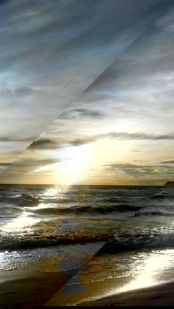 qiyokiuu qiyokiuu archive image