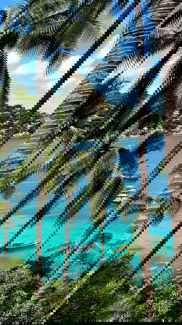 qiyokiuu qiyokiuu archive image