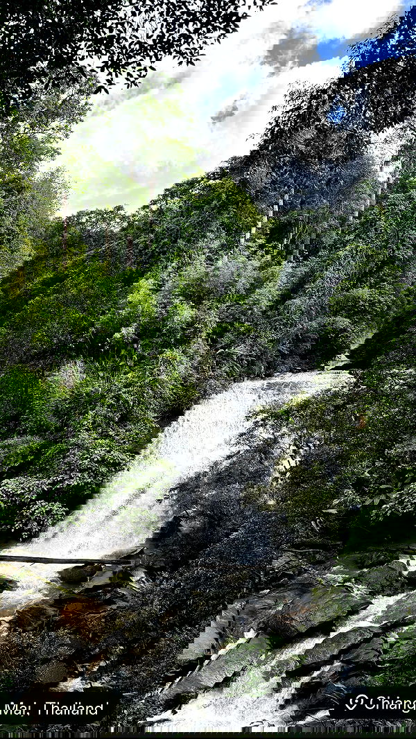 qiyokiuu qiyokiuu archive image