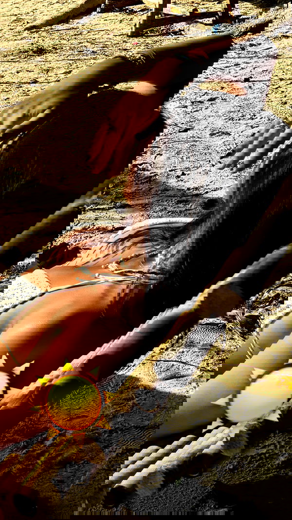 qiyokiuu qiyokiuu archive image