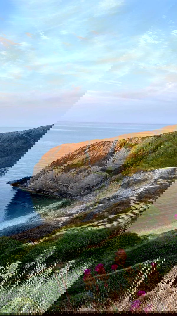 qiyokiuu qiyokiuu archive image