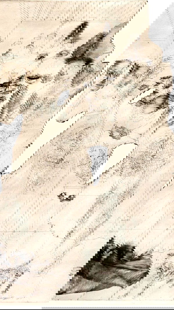 qiyokiuu qiyokiuu archive image