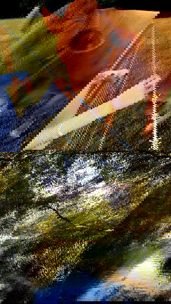 qiyokiuu qiyokiuu archive image