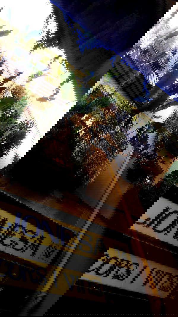 qiyokiuu qiyokiuu archive image