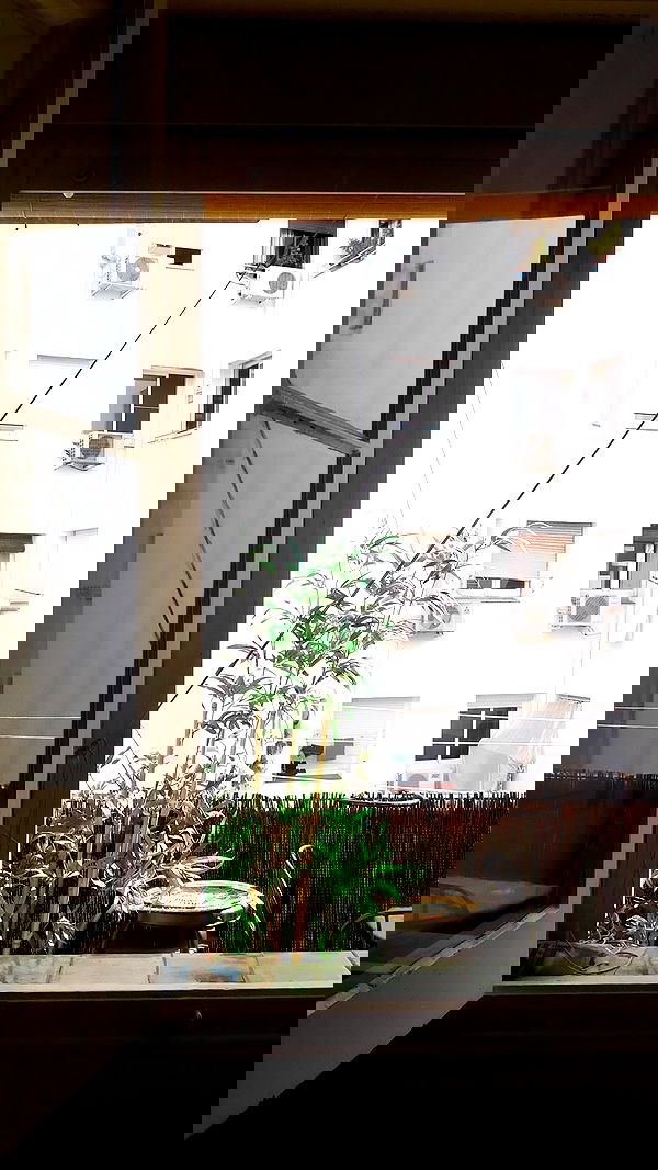 qiyokiuu qiyokiuu archive image