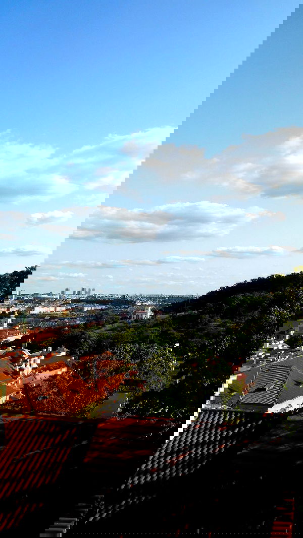 qiyokiuu qiyokiuu archive image