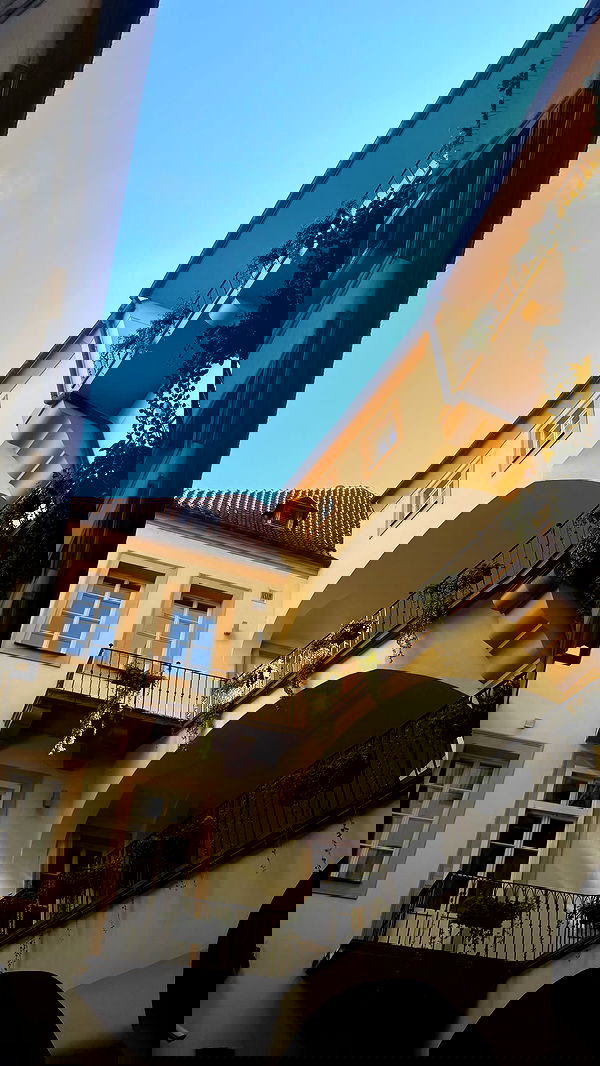 qiyokiuu qiyokiuu archive image