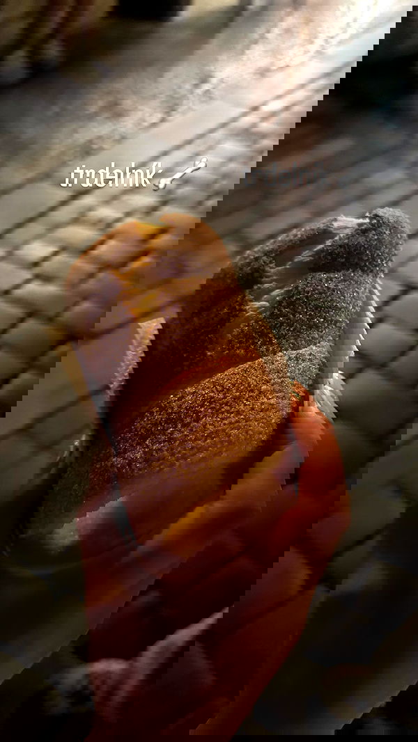 qiyokiuu qiyokiuu archive image