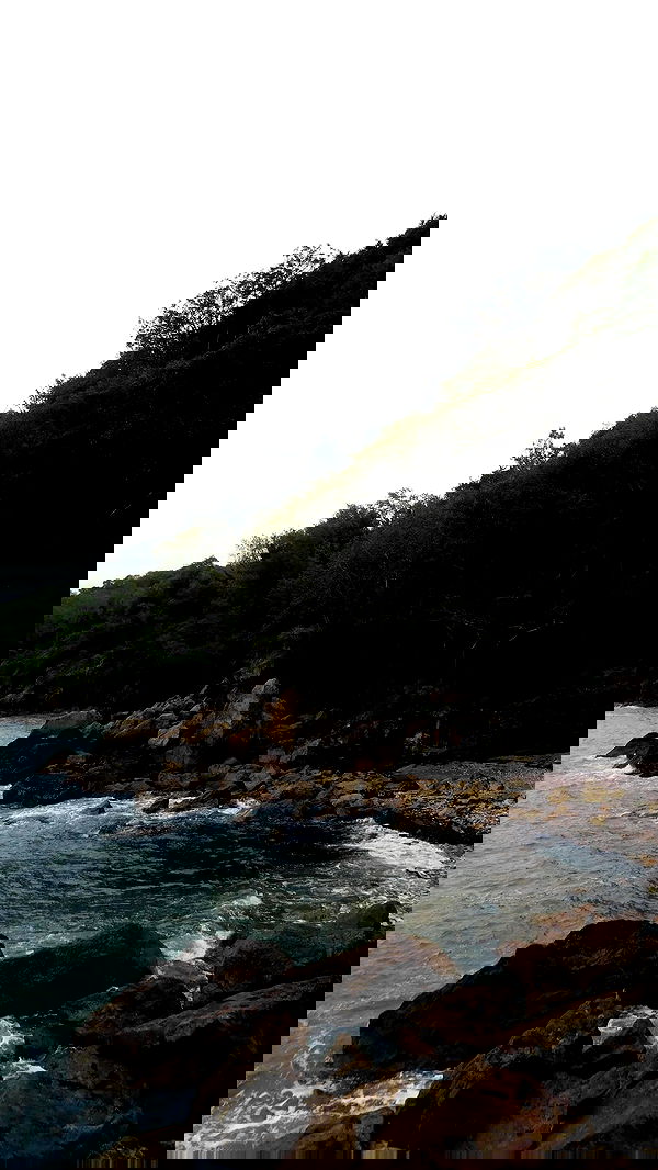 qiyokiuu qiyokiuu archive image