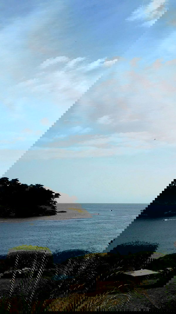 qiyokiuu qiyokiuu archive image