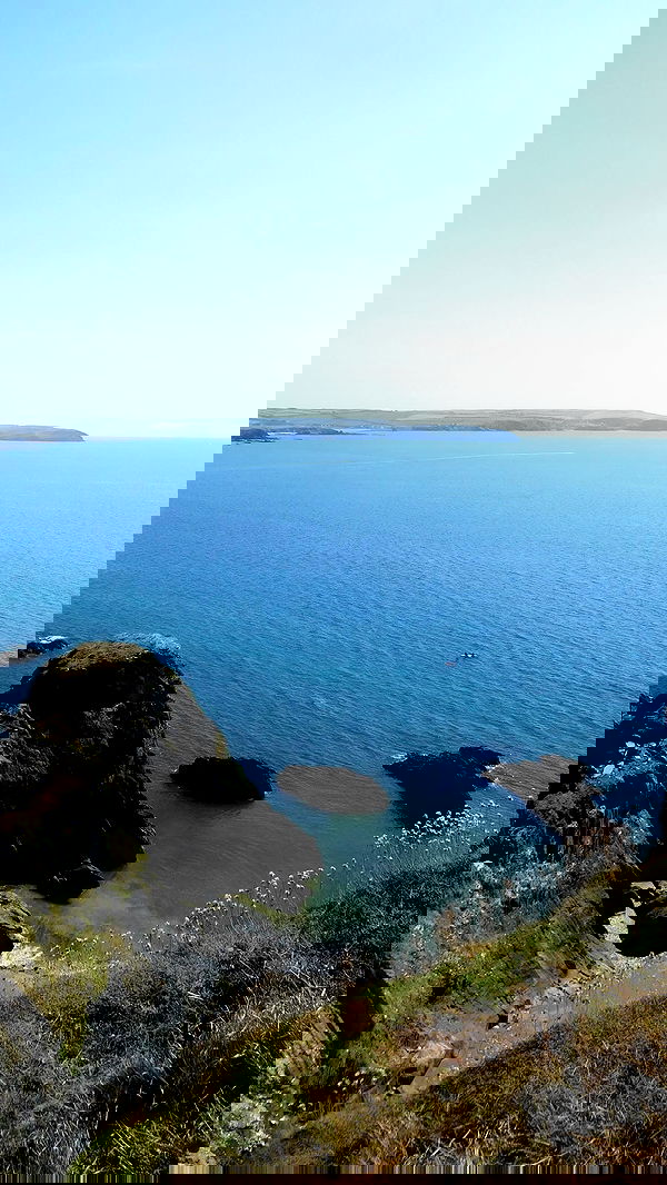 qiyokiuu qiyokiuu archive image