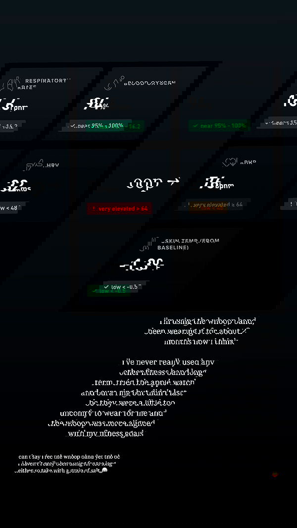 quarterjade quarterjade archive image