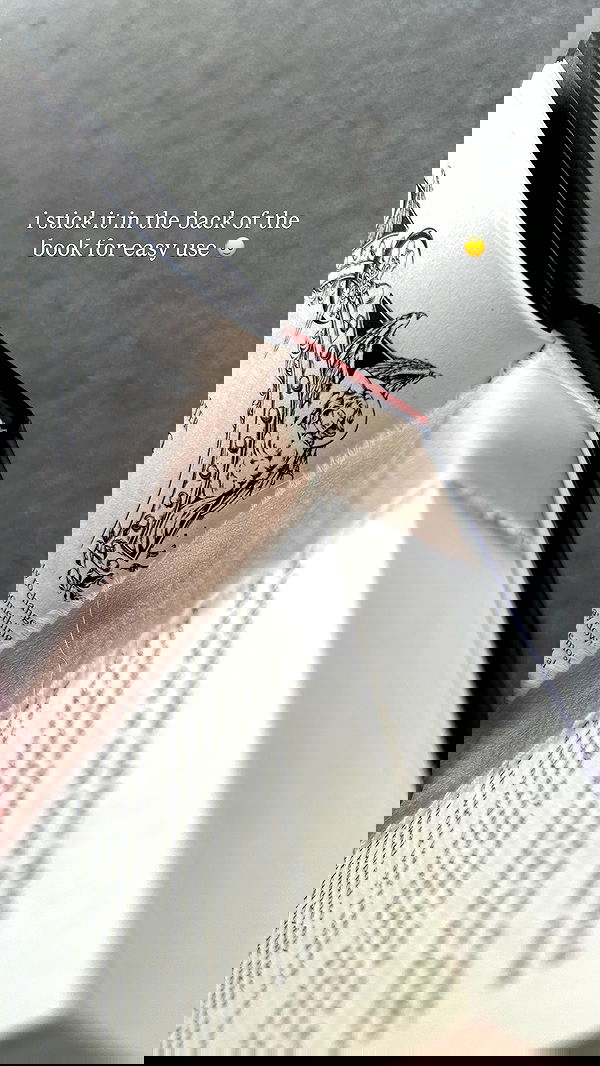 quarterjade quarterjade archive image