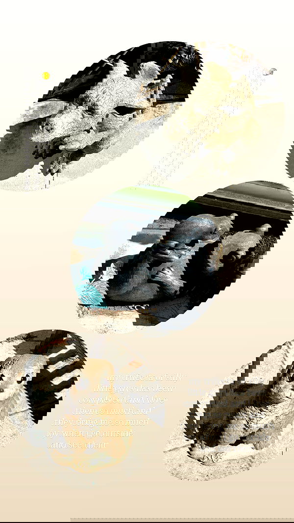 quarterjade quarterjade archive image