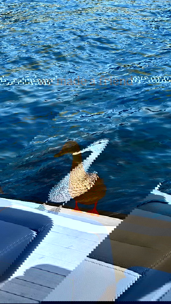 quarterjade quarterjade archive image