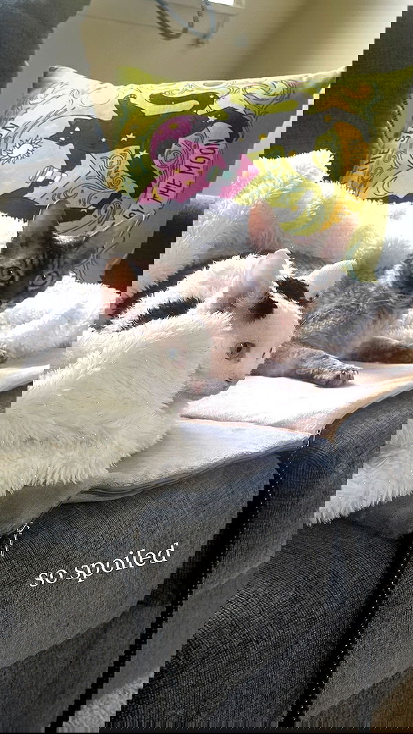 quarterjade quarterjade archive image