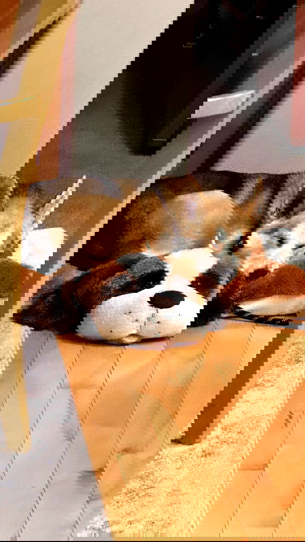 quarterjade quarterjade archive image