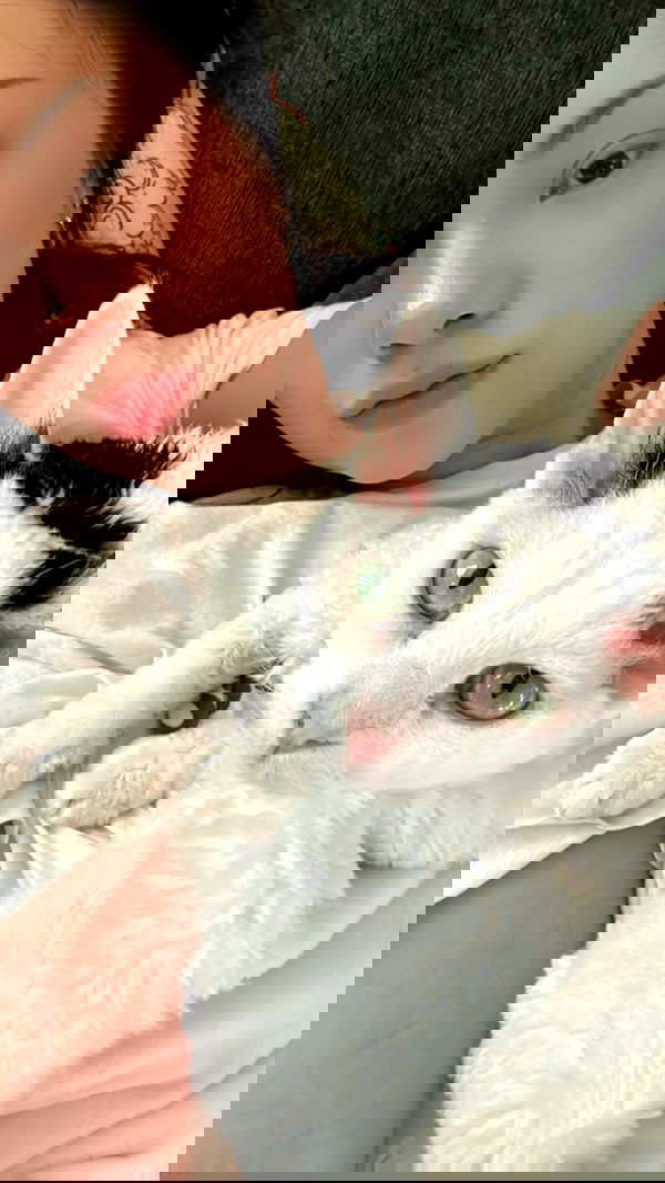 quarterjade quarterjade archive image