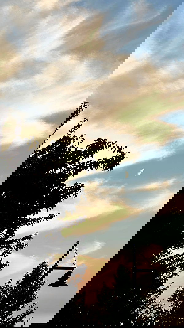 quarterjade quarterjade archive image