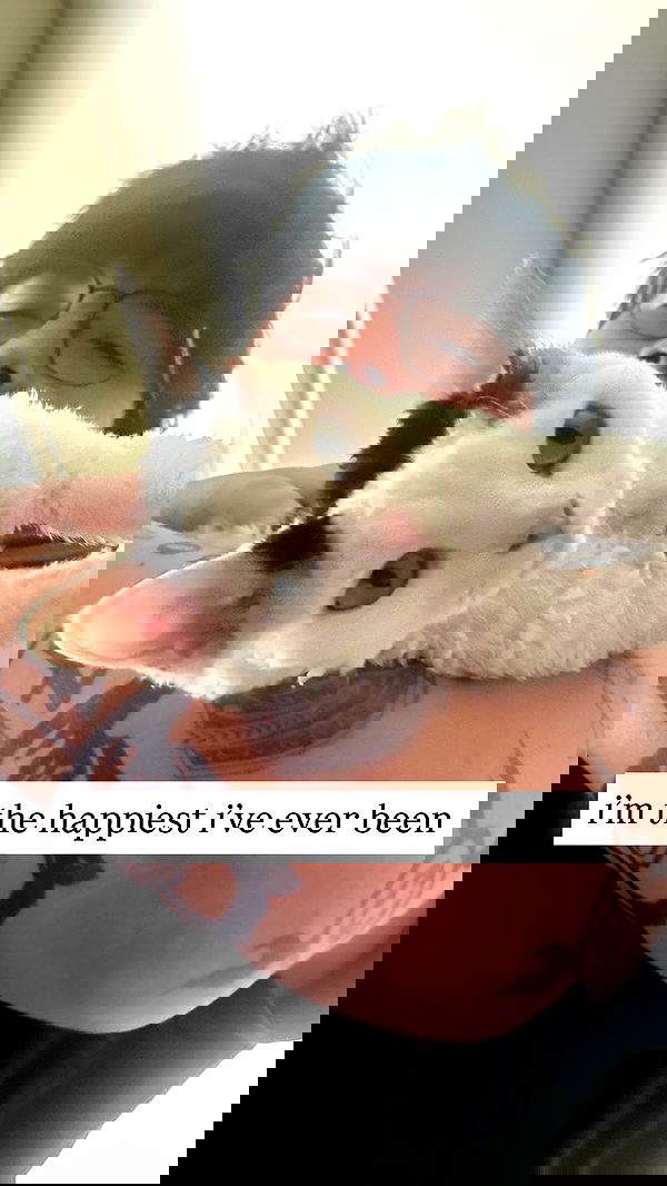 quarterjade quarterjade archive image