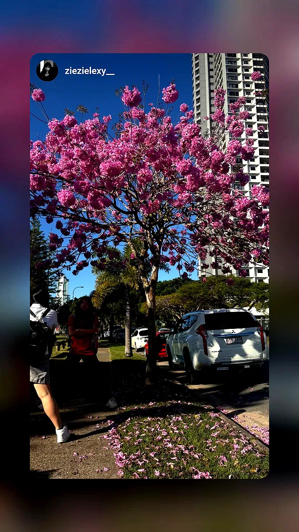 queencygalang queencygalang archive image