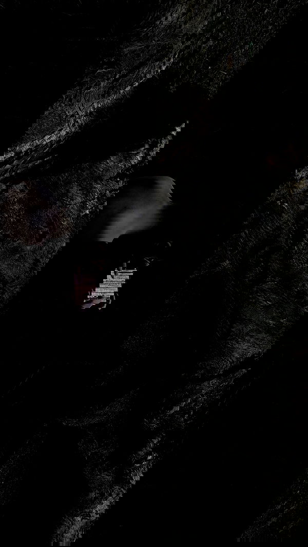 quincymood quincymood archive image