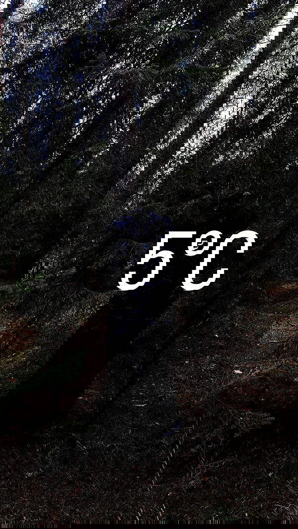 quincymood quincymood archive image