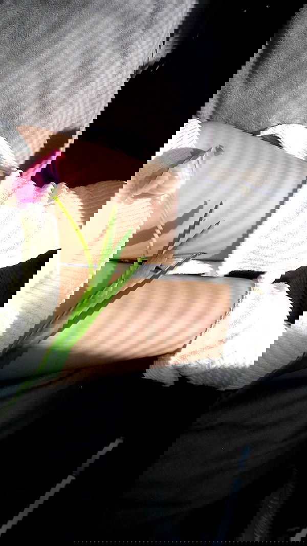 quincymood quincymood archive image