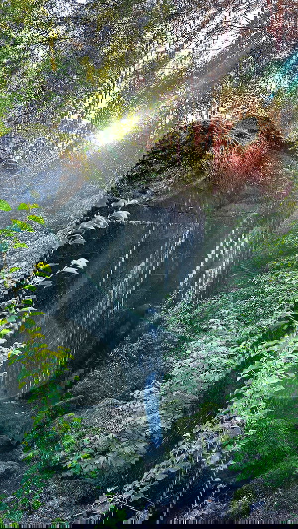 quincymood quincymood archive image