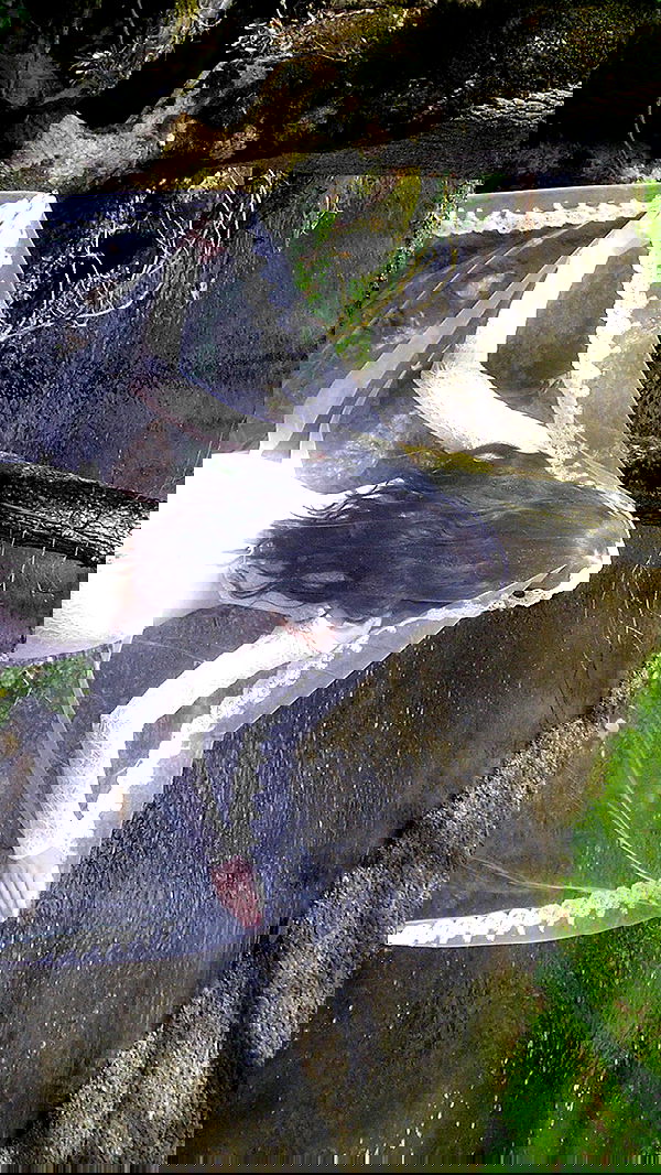 quincymood quincymood archive image