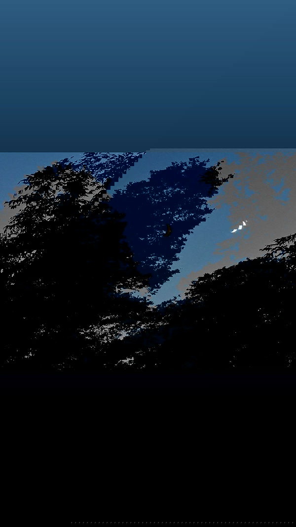 quincymood quincymood archive image