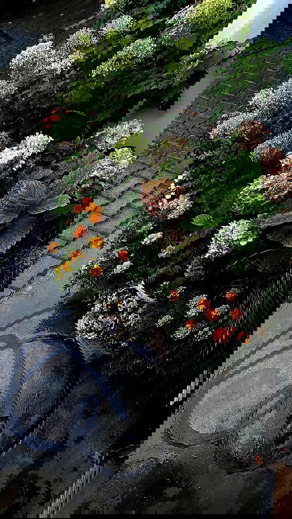 quincymood quincymood archive image