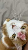 quitmell Altpins Profile Picture