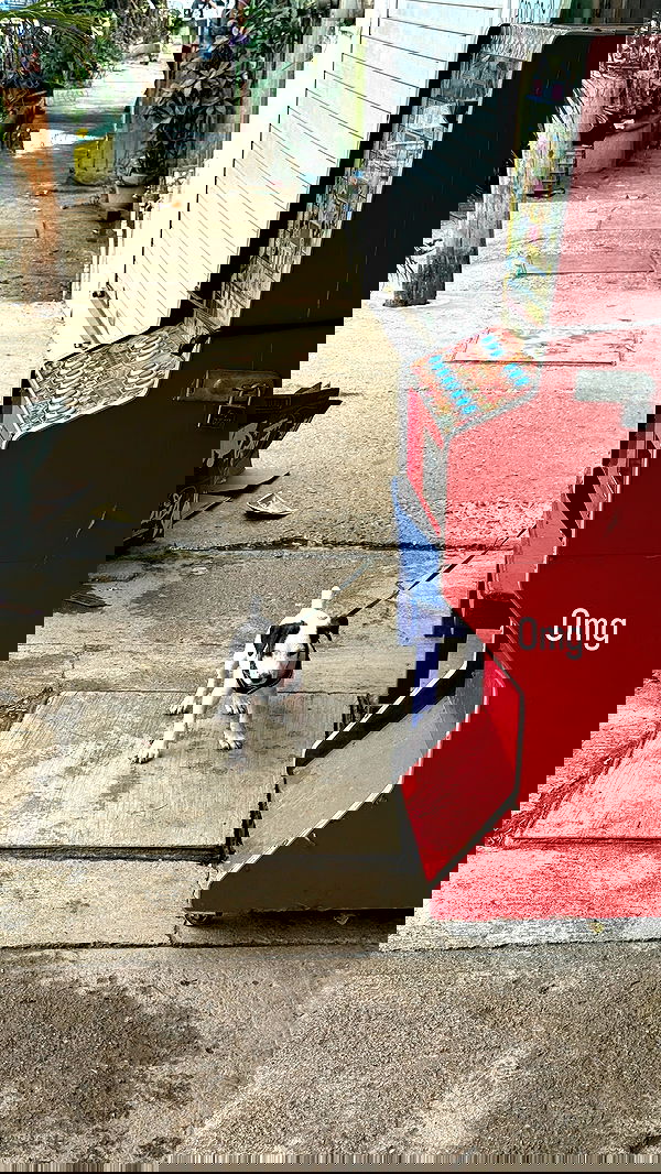 rachelc00k rachelc00k archive image