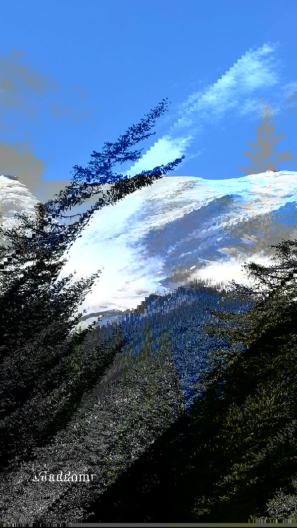 rachelc00k rachelc00k archive image