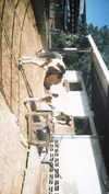 racheltx Altpins Profile Picture
