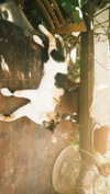 racheltx Altpins Profile Picture