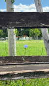 rachelyogaflower Altpins Profile Picture