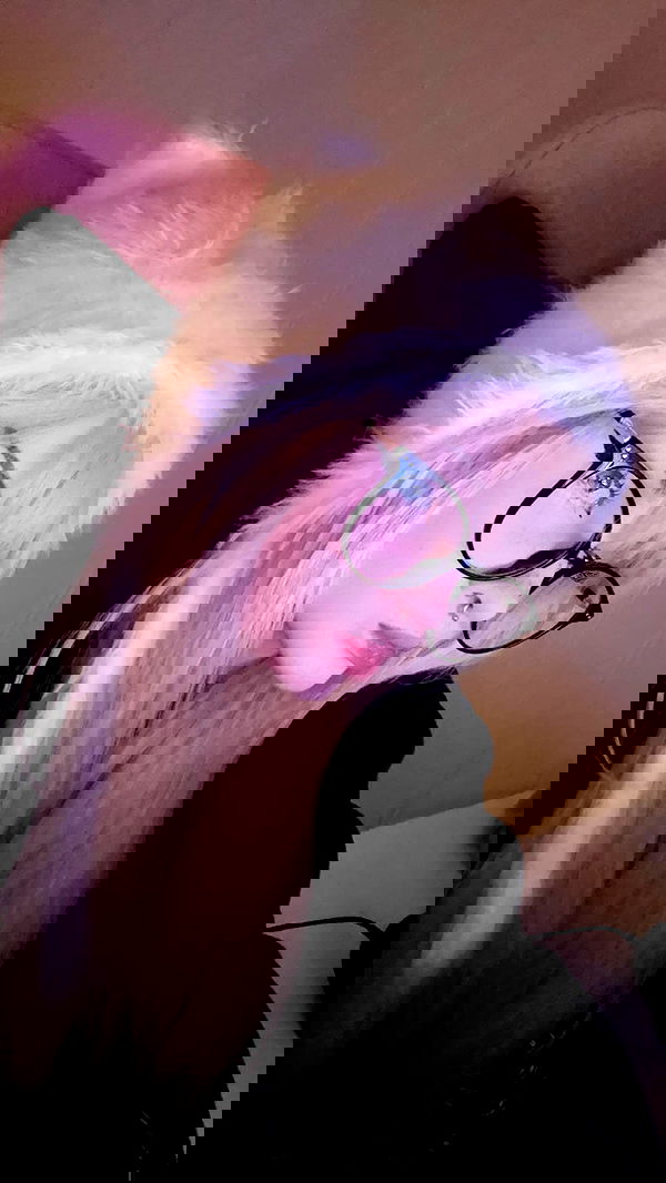 ratskeleton ratskeleton archive image