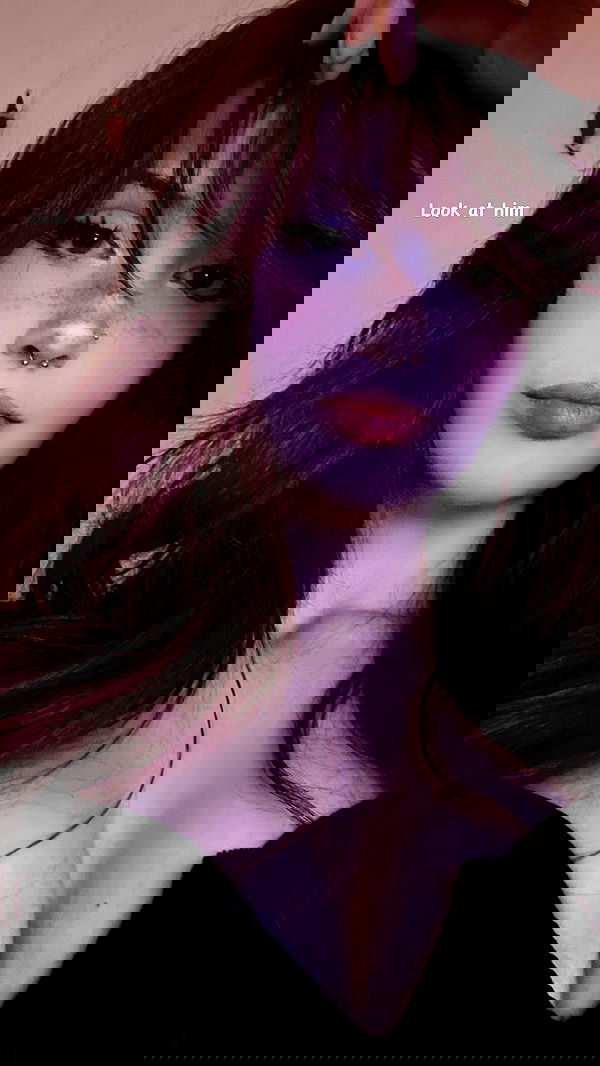 ratskeleton ratskeleton archive image