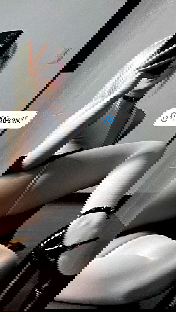 ratskeleton ratskeleton archive image